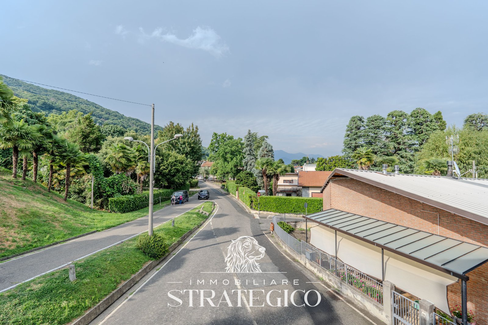 quadri-lesa-Via-Alle-Zappe_056