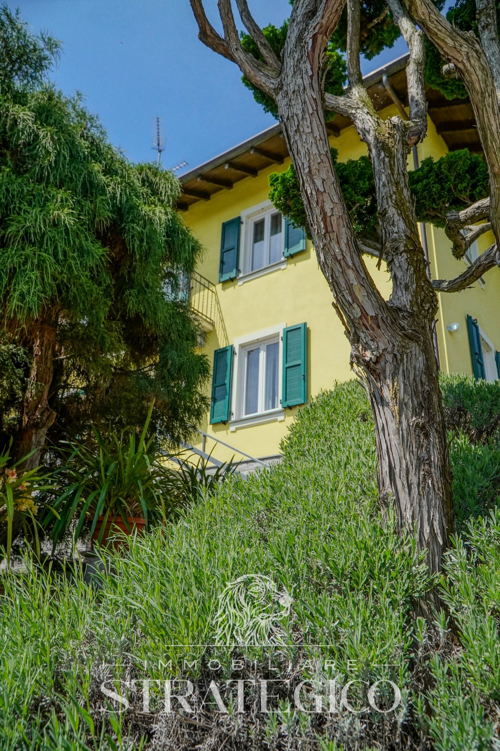 Pisano — Villa su 3 livelli + ampio fabbricato + terreno indipendente