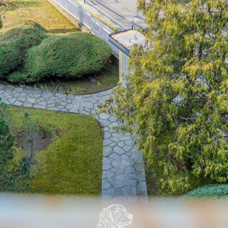 Arona — Ampio appartamento in affitto vicino al centro